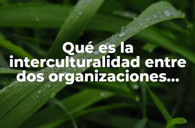 Qué es la Interculturalidad entre Dos Organizaciones según Autores
