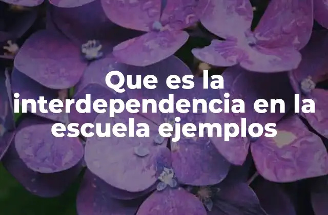 Que es la Interdependencia en la Escuela Ejemplos