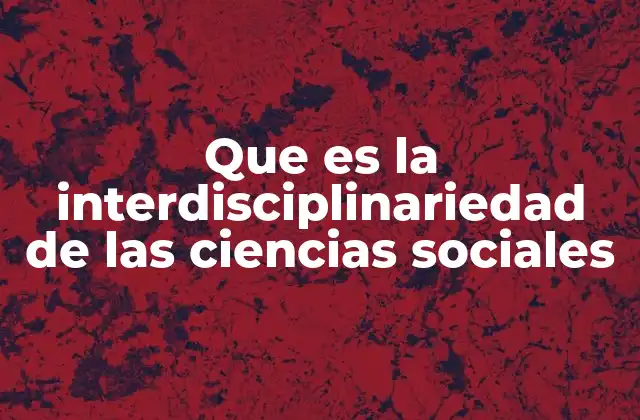 Que es la Interdisciplinariedad de las Ciencias Sociales