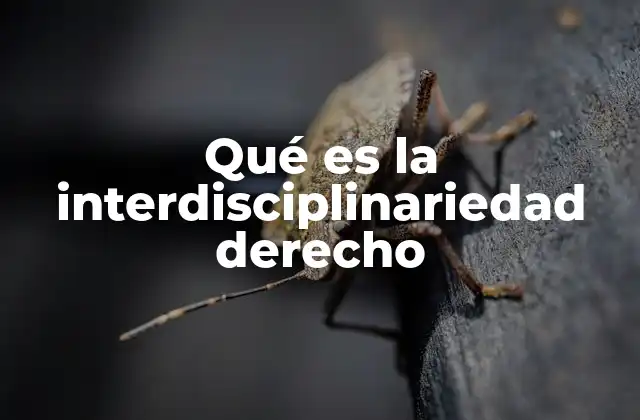 Qué es la Interdisciplinariedad Derecho