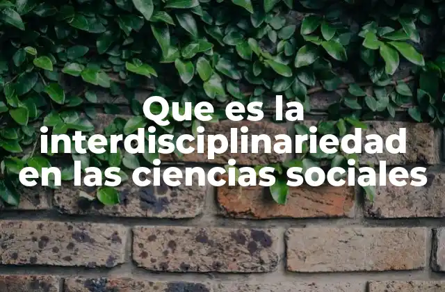 Que es la Interdisciplinariedad en las Ciencias Sociales