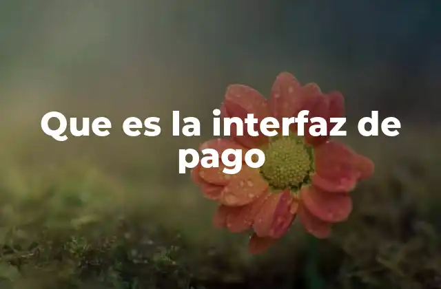 Que es la Interfaz de Pago