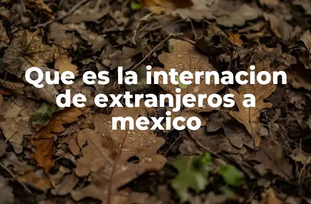 Que es la Internacion de Extranjeros a Mexico