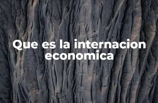 Que es la Internacion Economica