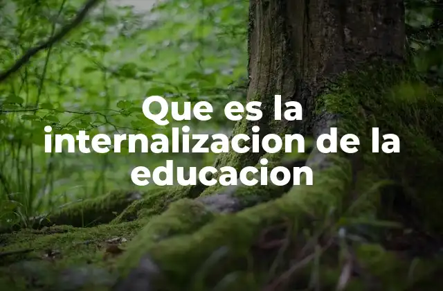 Que es la Internalizacion de la Educacion
