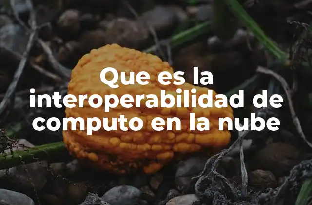 Que es la Interoperabilidad de Computo en la Nube