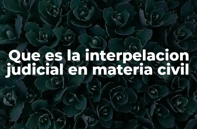 Que es la Interpelacion Judicial en Materia Civil