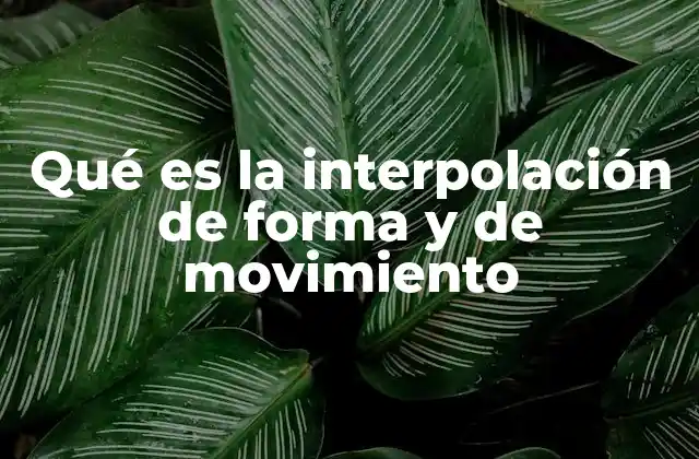 Qué es la Interpolación de Forma y de Movimiento