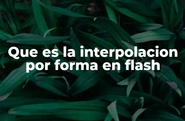 Que es la Interpolacion por Forma en Flash