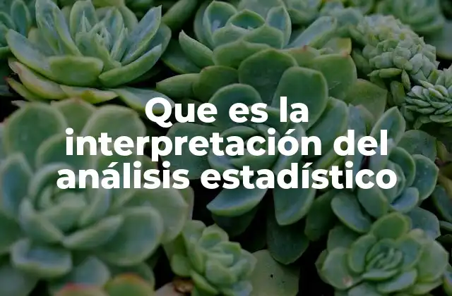 Que es la Interpretación Del Análisis Estadístico