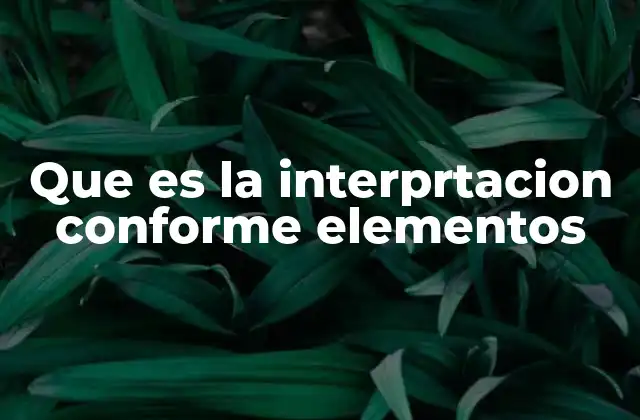 Que es la Interprtacion Conforme Elementos