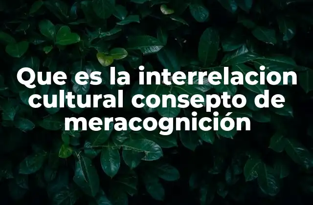 Que es la Interrelacion Cultural Consepto de Meracognición