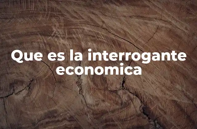 Que es la Interrogante Economica