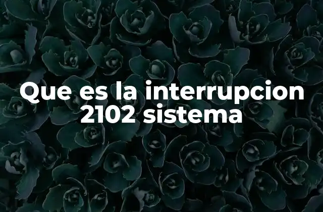 Que es la Interrupcion 2102 Sistema