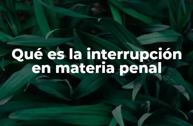 Qué es la Interrupción en Materia Penal 2 El papel de la interrupción en la protección de derechos
