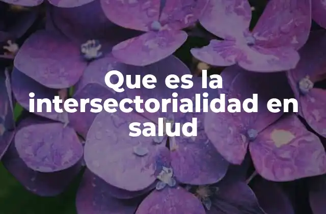 Que es la Intersectorialidad en Salud