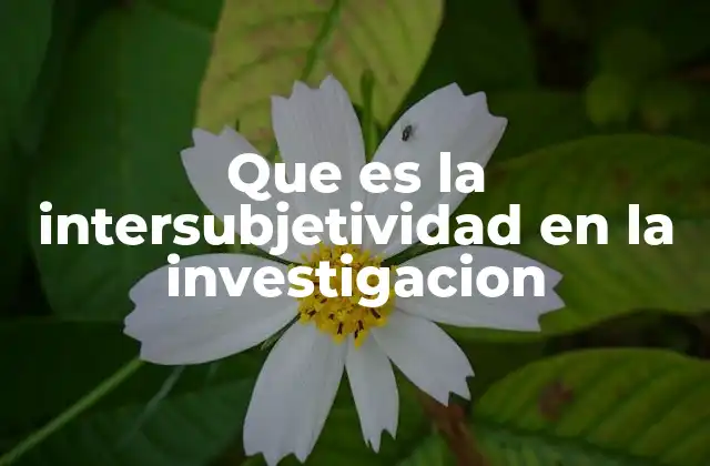 La importancia de la comprensión mútua en la investigación social