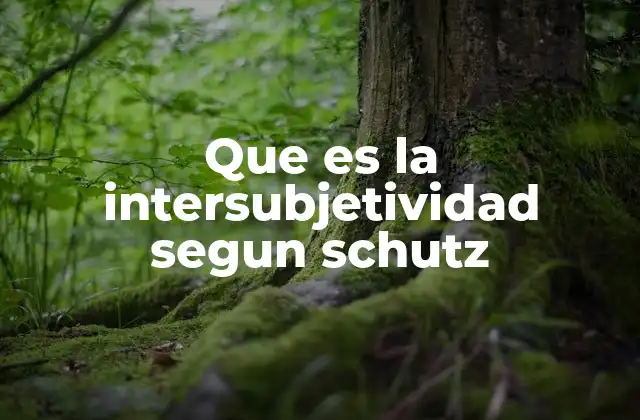 La construcción del mundo social a través de la intersubjetividad