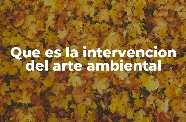 Que es la Intervencion Del Arte Ambiental