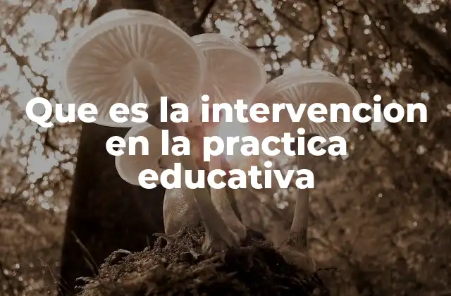 Que es la Intervencion en la Practica Educativa