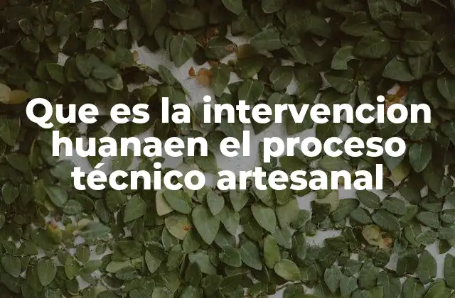 Que es la Intervencion Huanaen el Proceso Técnico Artesanal