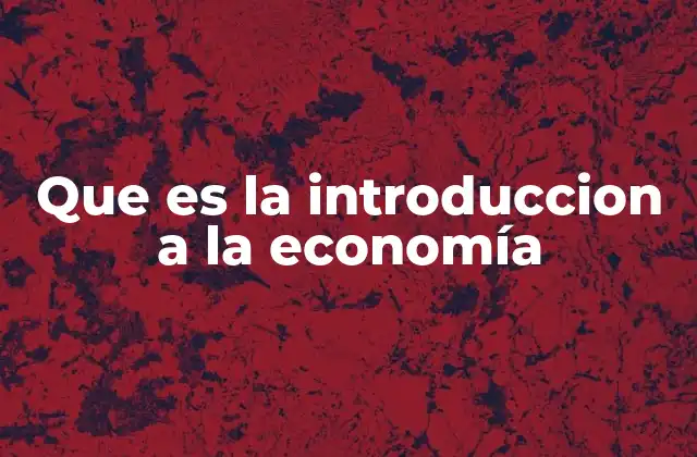 Que es la Introduccion a la Economía 2 El primer acercamiento al mundo económico