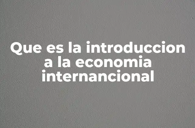 Que es la Introduccion a la Economia Internancional