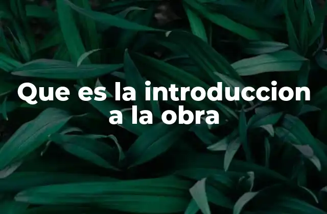 Que es la Introduccion a la Obra