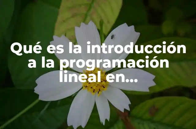 Qué es la Introducción a la Programación Lineal en Administración