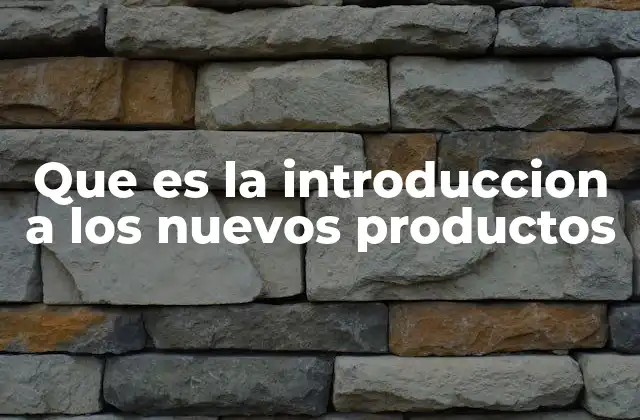 Que es la Introduccion a los Nuevos Productos