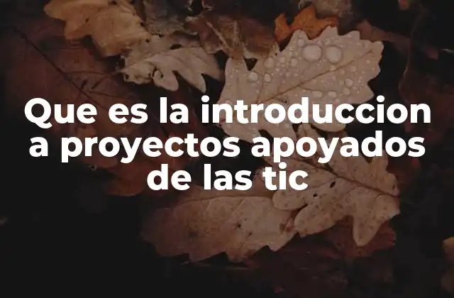 Que es la Introduccion a Proyectos Apoyados de las Tic