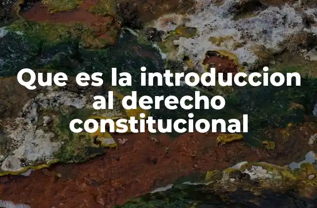Que es la Introduccion Al Derecho Constitucional