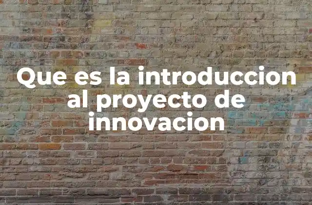 Que es la Introduccion Al Proyecto de Innovacion