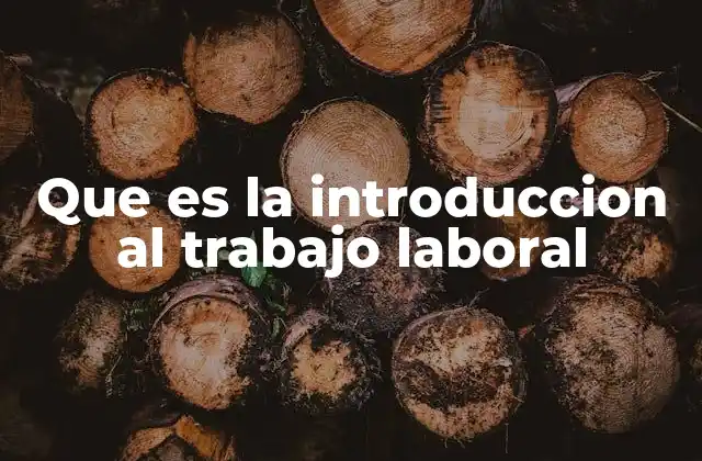 Que es la Introduccion Al Trabajo Laboral