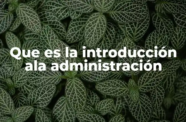 Fundamentos para comprender la administración