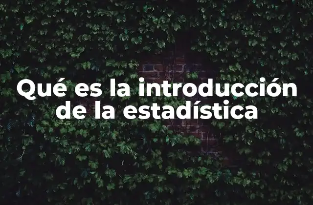 Qué es la Introducción de la Estadística