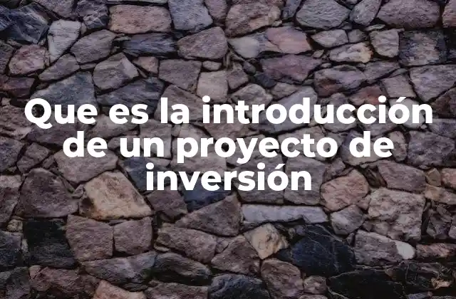 Que es la Introducción de un Proyecto de Inversión