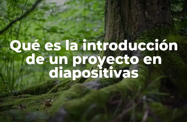 Qué es la Introducción de un Proyecto en Diapositivas 2 El rol de la introducción en una presentación de diapositivas