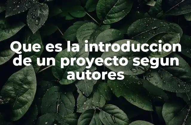 Que es la Introduccion de un Proyecto Segun Autores