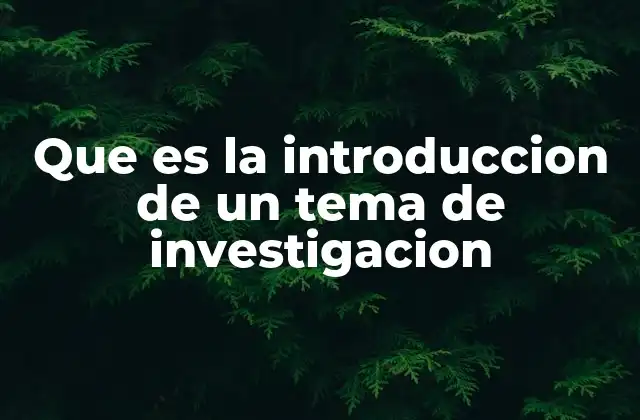 Que es la Introduccion de un Tema de Investigacion