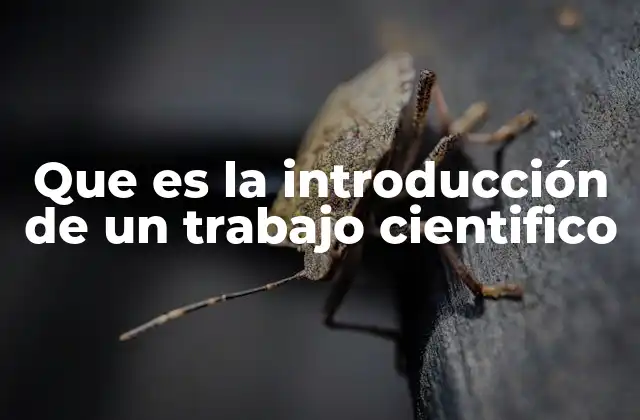 Que es la Introducción de un Trabajo Cientifico