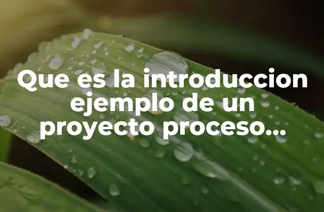 Que es la Introduccion Ejemplo de un Proyecto Proceso Digestivo
