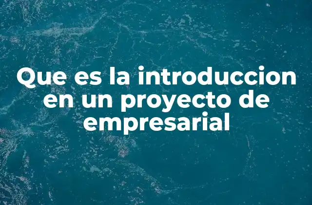 Que es la Introduccion en un Proyecto de Empresarial