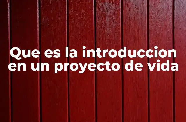 Que es la Introduccion en un Proyecto de Vida