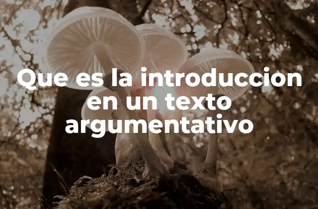 Que es la Introduccion en un Texto Argumentativo