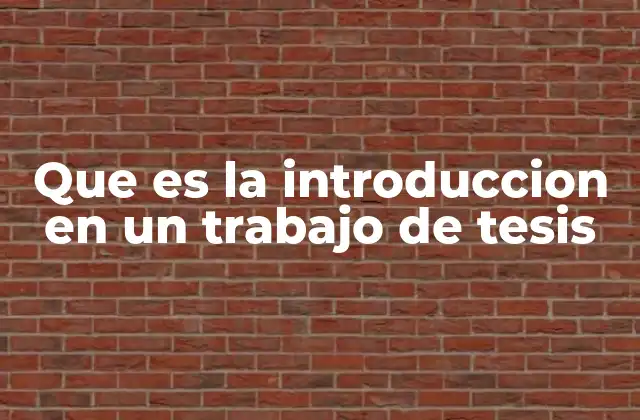 Que es la Introduccion en un Trabajo de Tesis