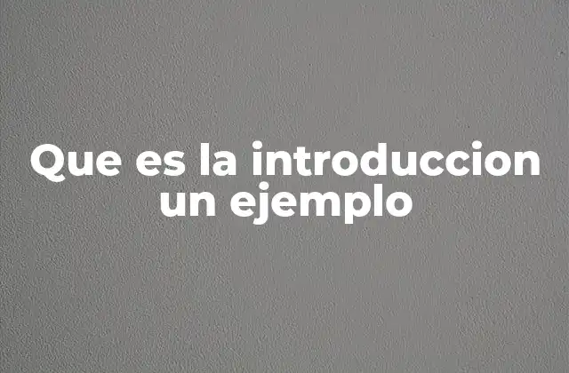 Que es la Introduccion un Ejemplo