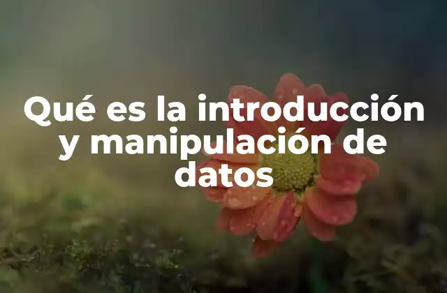 El rol de los datos en la toma de decisiones