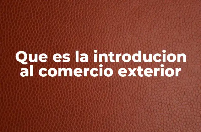 Que es la Introducion Al Comercio Exterior
