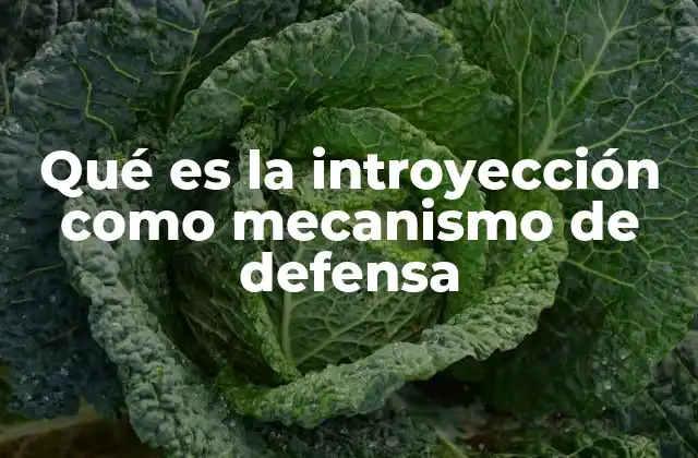Qué es la Introyección como Mecanismo de Defensa